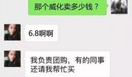 石家庄头条最新爆料,揭秘重大事件背后真相